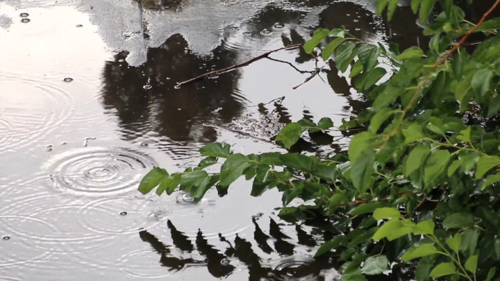 Manfaat Mencium Petrichor, Aroma Khas yang Muncul saat Hujan