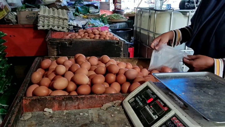 Jelang Nataru Harga Telur di Lamongan Melonjak, Pembeli Buru Telur Pecah