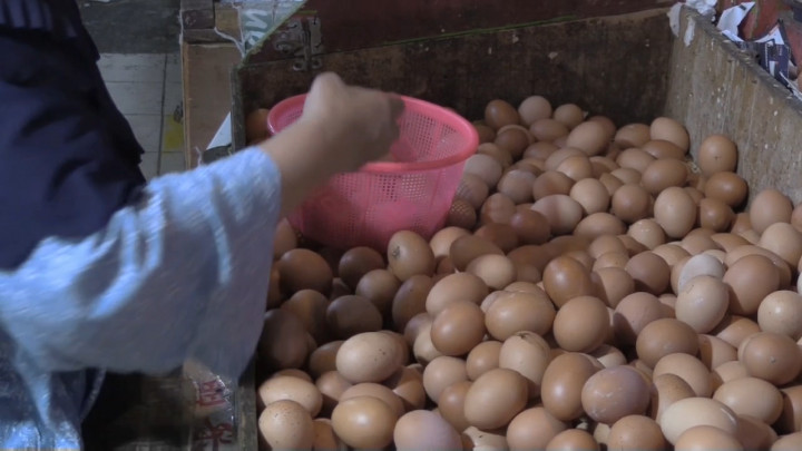 Telur Ayam Tembus Rp31 ribu, Pembeli Berburu Telur Pecah