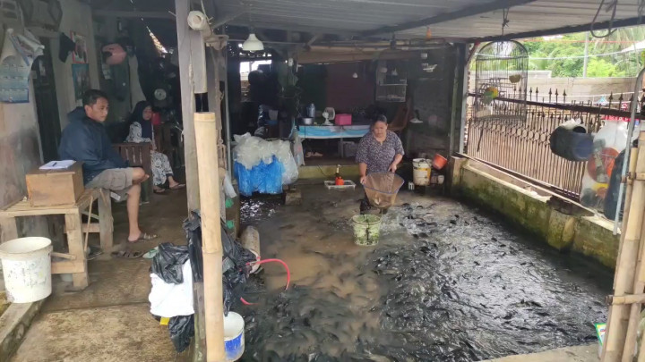 Jelang Pergantian Tahun, Ikan Tawar Diburu Warga