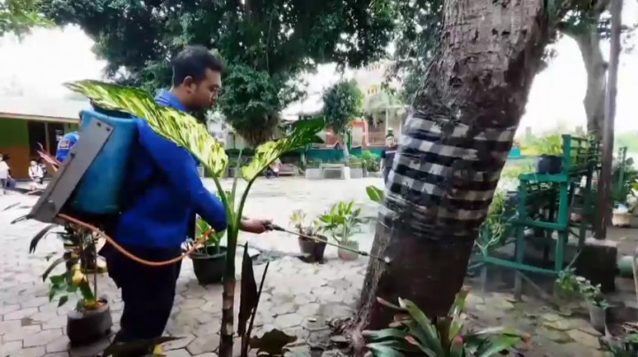 Ulat Bulu Teror Madiun, Puluhan Siswa Dilanda Gatal-gatal