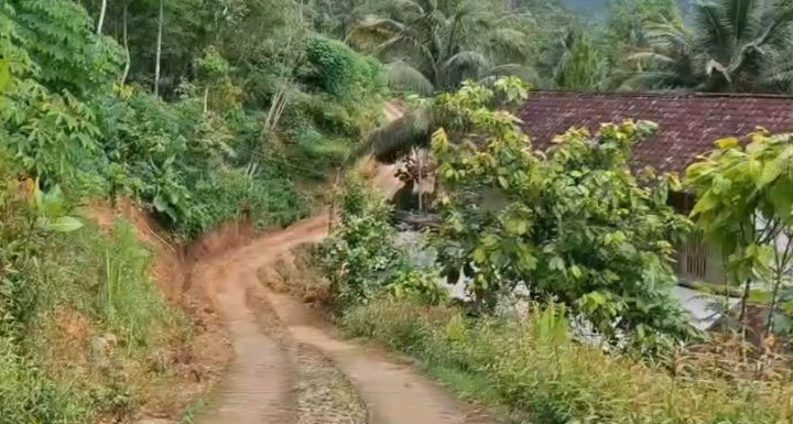 Bencana Tanah Gerak di Desa Nglebo, Ancam 7 Rumah