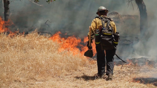 Kekeringan Ekstrem Hingga Angin Kencang, Ini Penyebab Kebakaran Los Angeles
