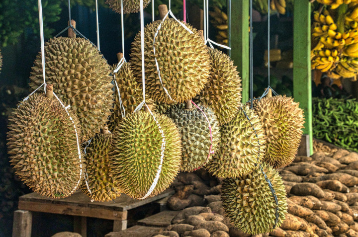 Durian Lovers Wajib Tahu! Ini 5 Manfaat Durian yang Jarang Orang Tahu