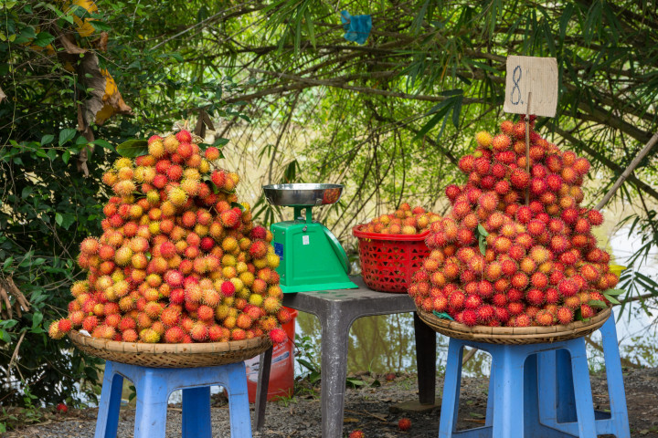 Lagi Musim! Ini Jenis-jenis Rambutan Enak di Indonesia