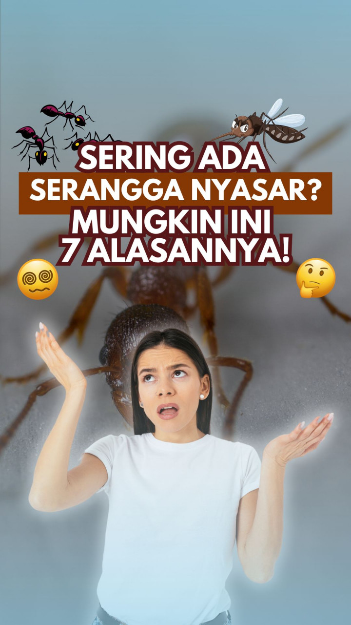 Sering Ada Serangga Nyasar? Mungkin Ini 7 Alasannya!