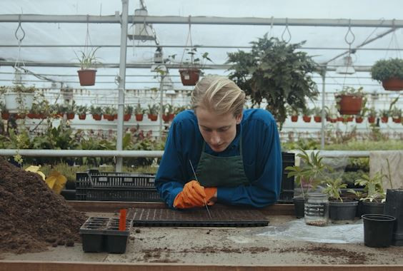 Hati-hati! Hindari Kebiasaan Buruk Ini Saat Berkebun