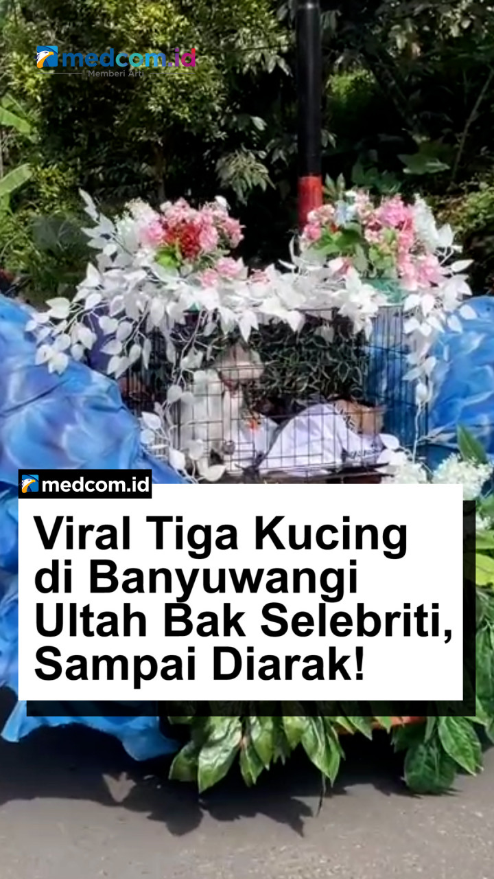 Tiga Kucing di Banyuwangi Ultah Dirayakan Mewah, Sampai Diarak!