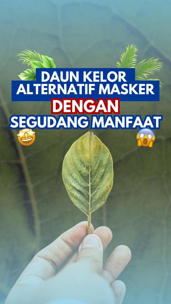 Daun Kelor Alternatif Masker dengan Segudang Manfaat