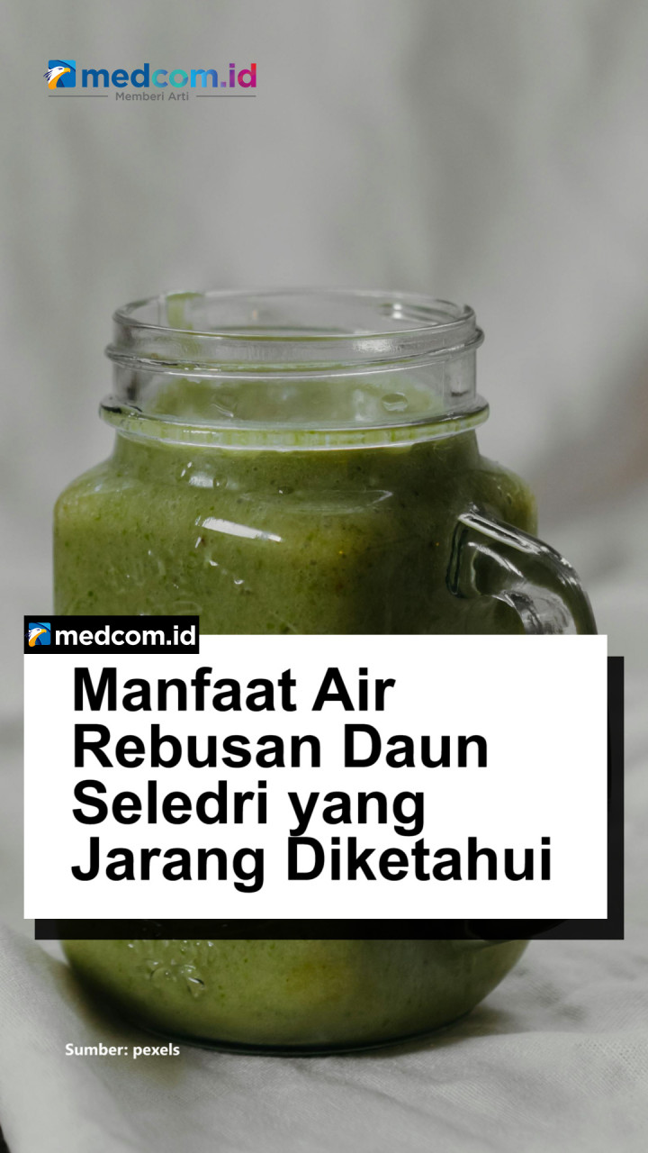 Manfaat Air Rebusan Daun Seledri yang Jarang Diketahui