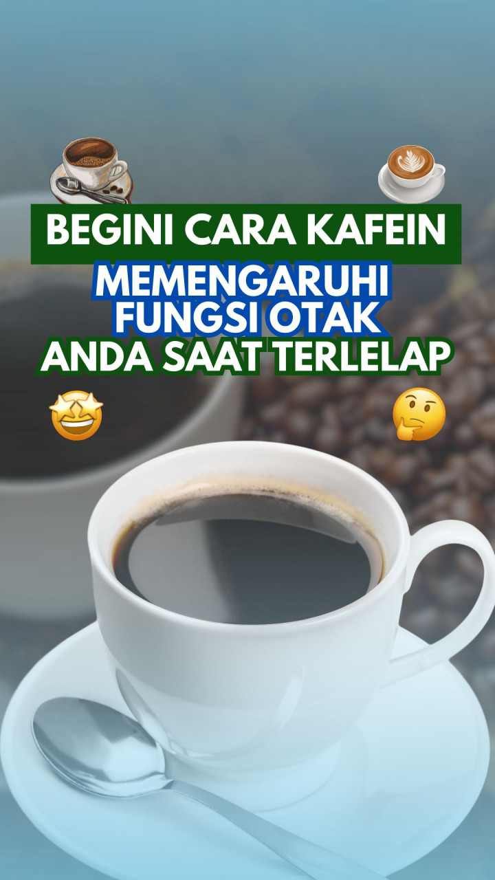 Begini Cara Kafein Memengaruhi Fungsi Otak Anda Saat Terlelap