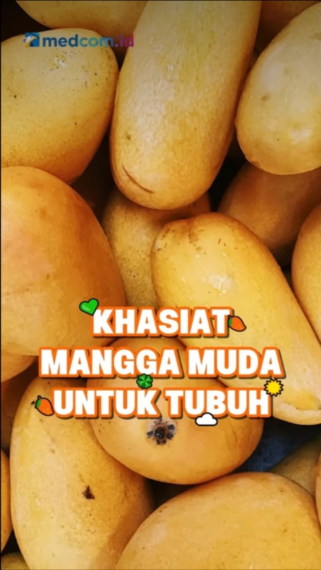 Khasiat Mangga Muda untuk Tubuh