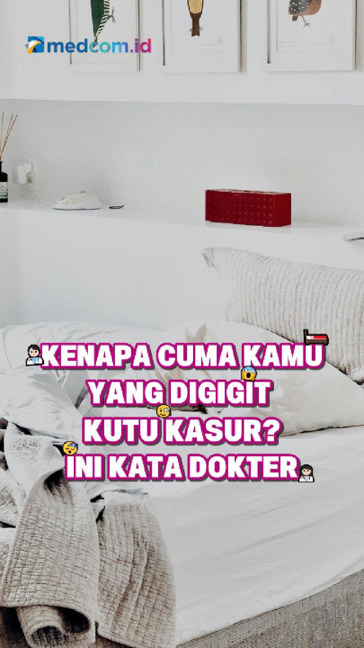 Kenapa Cuma Kamu yang Digigit Kutu Kasur? Ini Kata Dokter