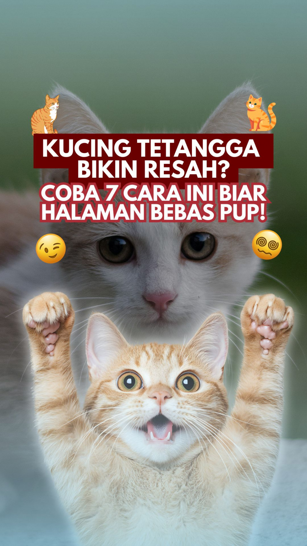 Kucing Tetangga Bikin Resah? Coba 7 Cara Ini Biar Halaman Bebas Pup!