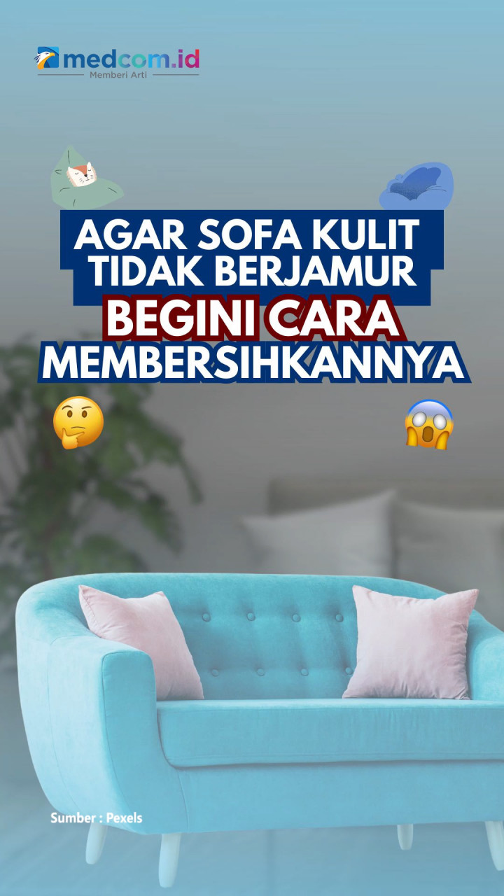 Agar Sofa Kulit Tidak Berjamur, Begini Cara Membersihkannya