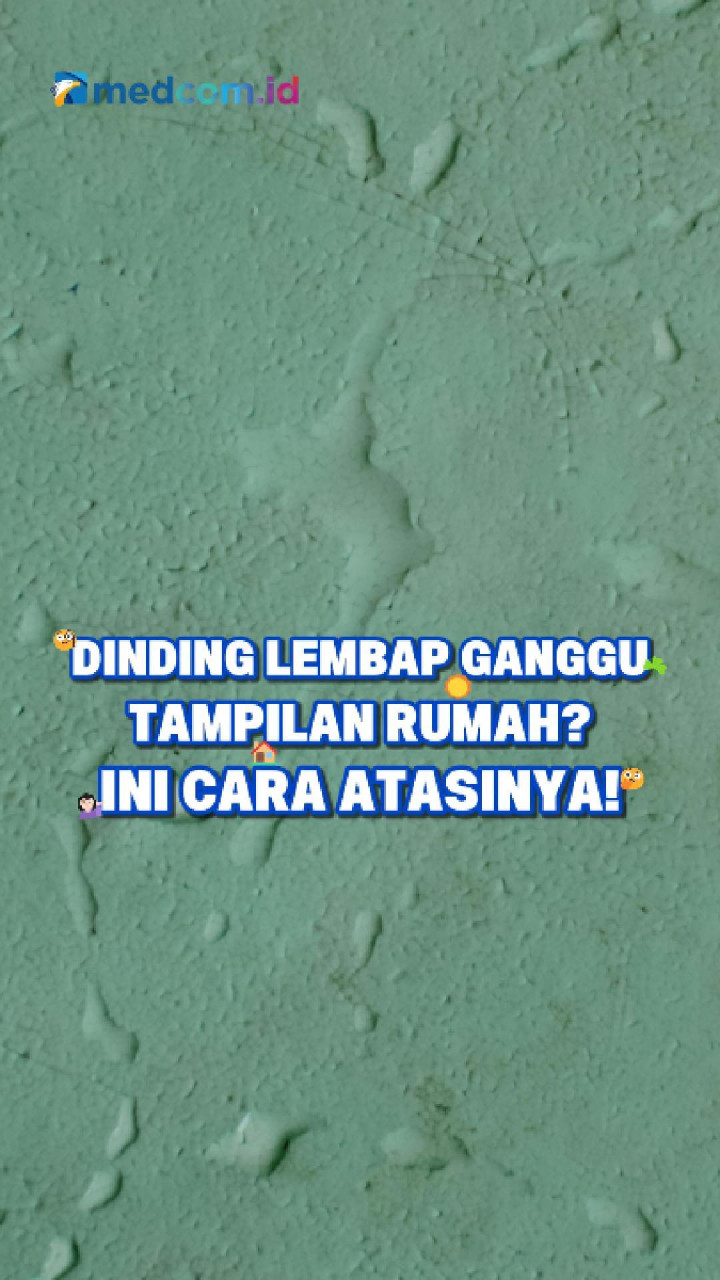 Dinding Lembap Ganggu Tampilan Rumah? Ini Cara Atasinya!