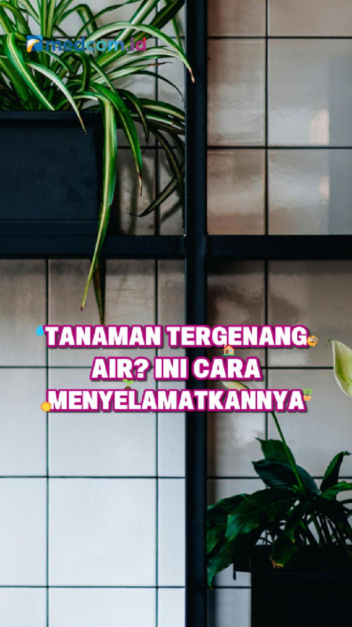 Tanaman Tergenang Air? Ini Cara Menyelamatkannya
