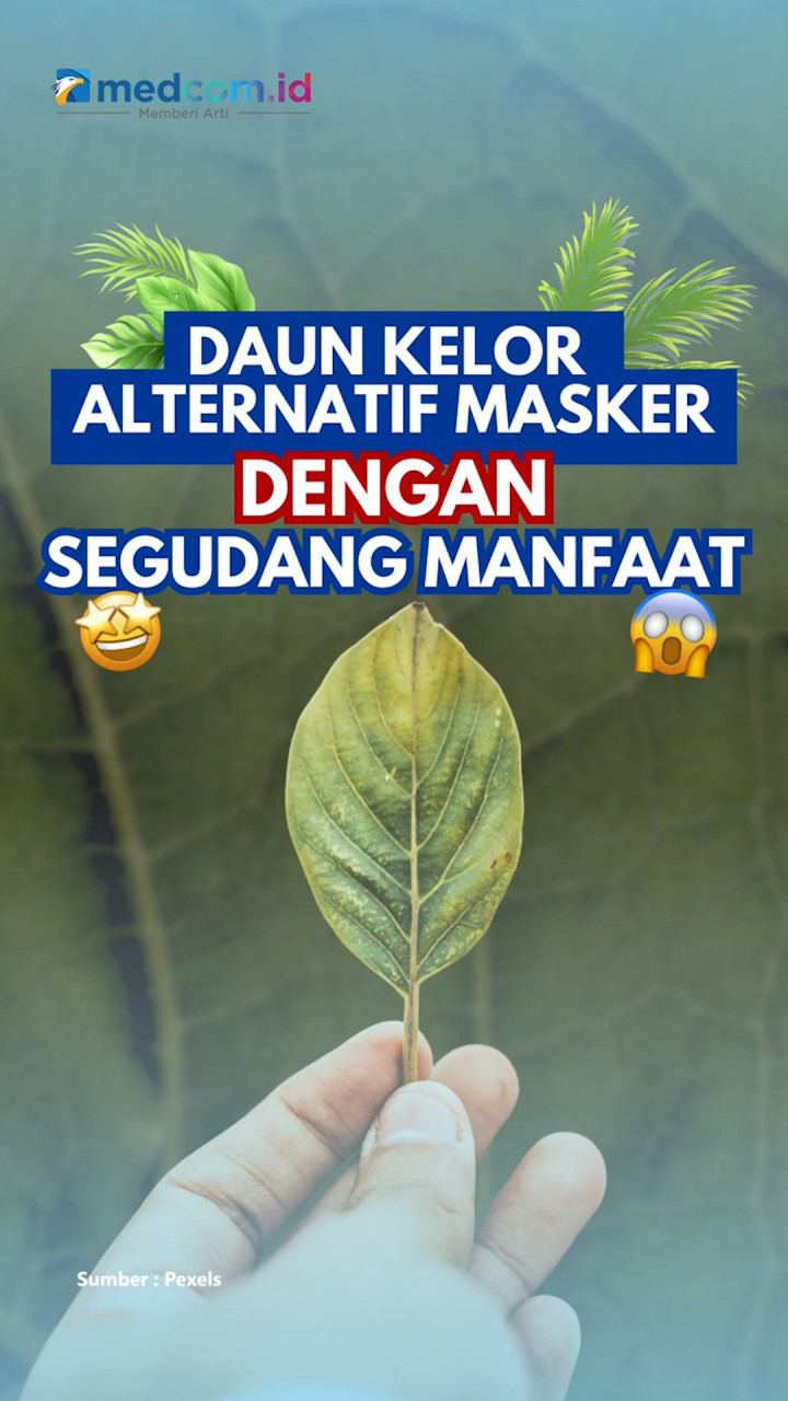 Daun Kelor Alternatif Masker Dengan Segudang Manfaat