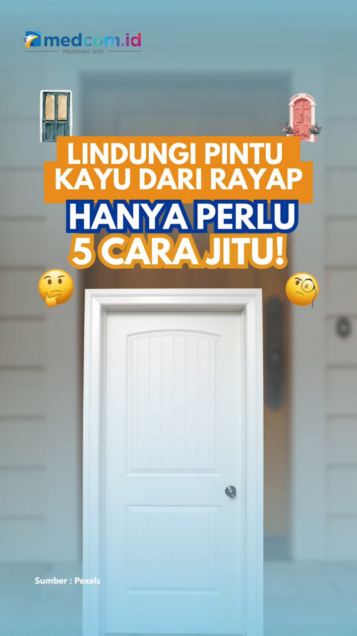 Lindungi Pintu Kayu Dari Rayap, Hanya Perlu 5 Cara Jitu!