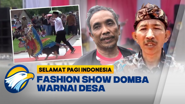 Aksi Domba di Catwalk! Fashion Show Unik Ini Bikin Warga Terhibur