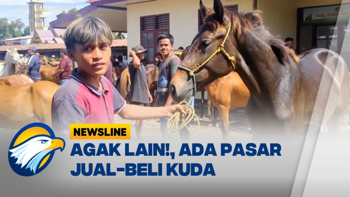Melihat Kemeriahan Pasar Kuda di Jeneponto