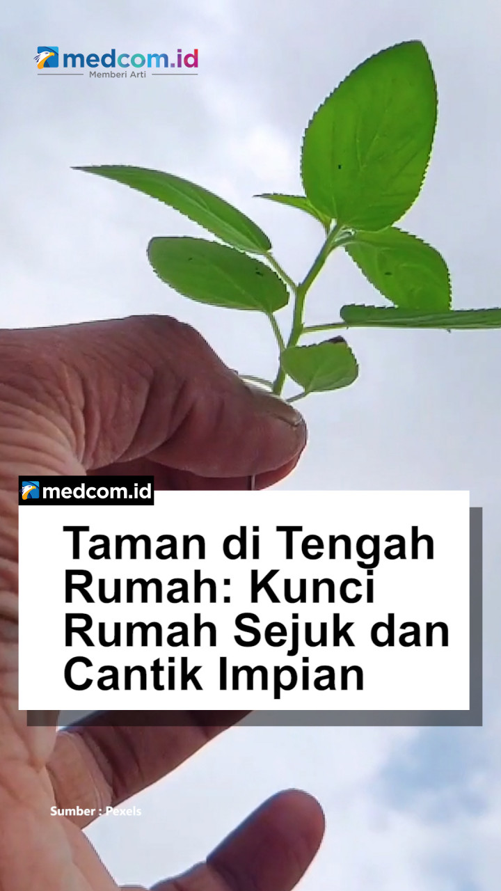 Taman di Tengah Rumah: Kunci Rumah Sejuk dan Cantik Impian