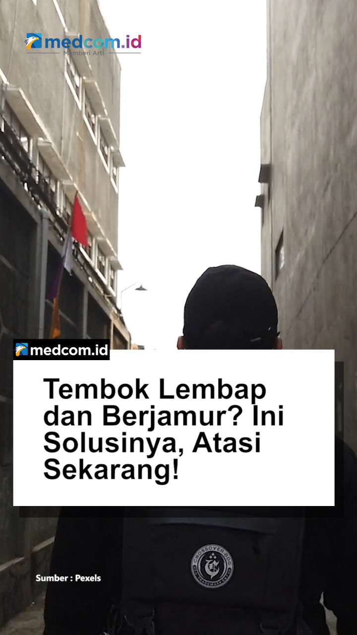 Tembok Lembap dan Berjamur? Ini Solusinya, Atasi Sekarang!