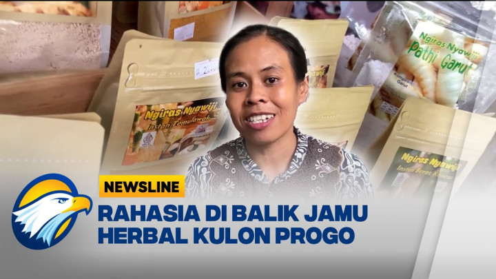 Jamu Bubuk Praktis dari Kulon Progo, Bangkitkan Tradisi dengan Sentuhan Modern