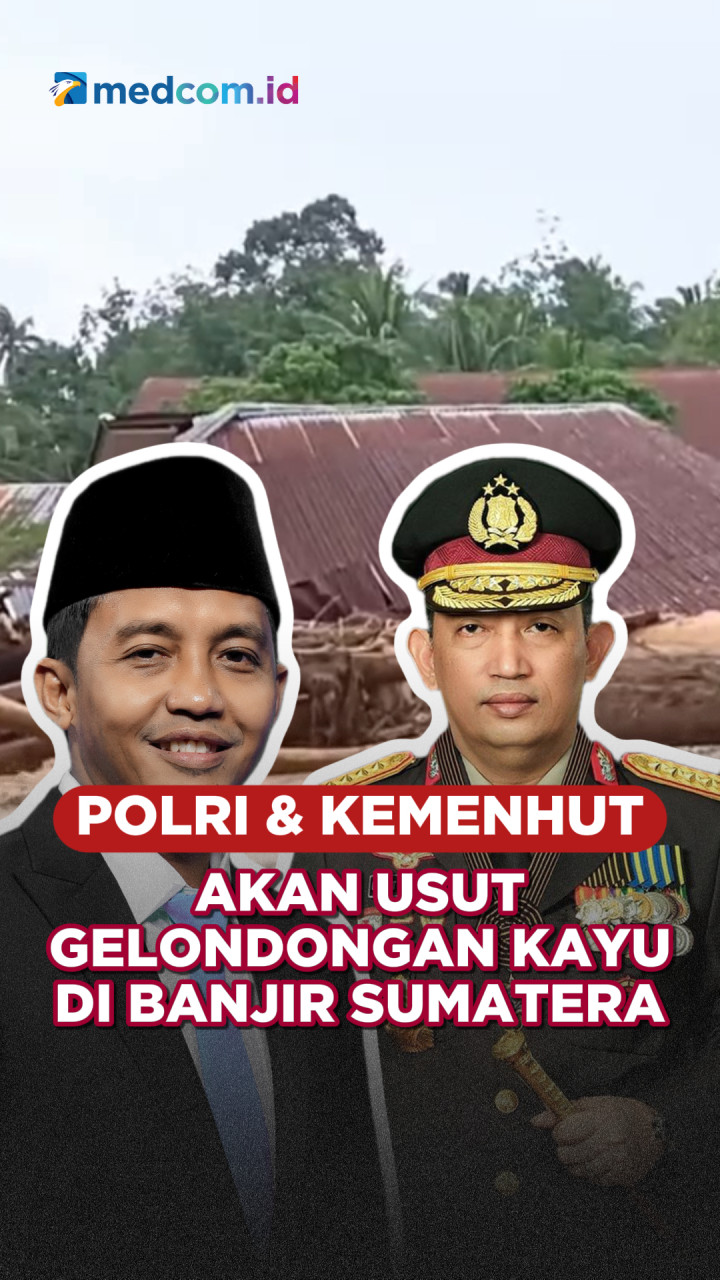 Polri dan Kemenhut Akan Usut Gelondongan Kayu di Banjir Sumatra