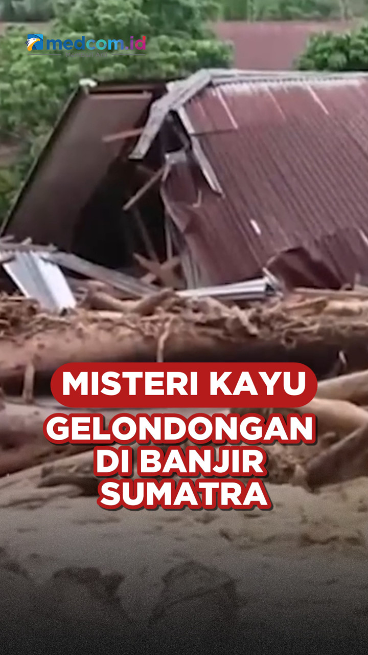 Misteri Kayu Gelondongan di Banjir Sumatra