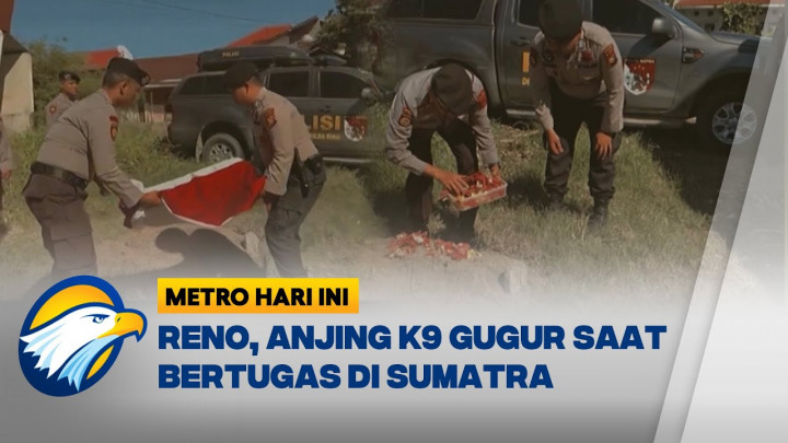 Kelelahan, Anjing K9 Polri Gugur saat Cari Korban Banjir Sumatera