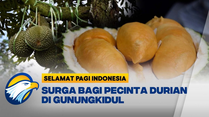 Manfaatkan Lahan Kosong, Budidaya Durian Hasilkan Omzet Puluhan Juta