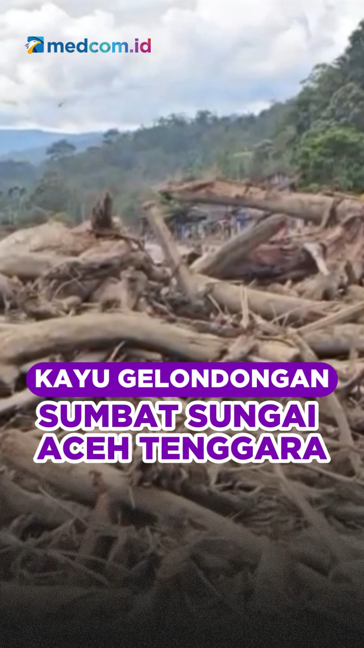 Kayu Gelondongan Sumbat Sungai Aceh Tenggara