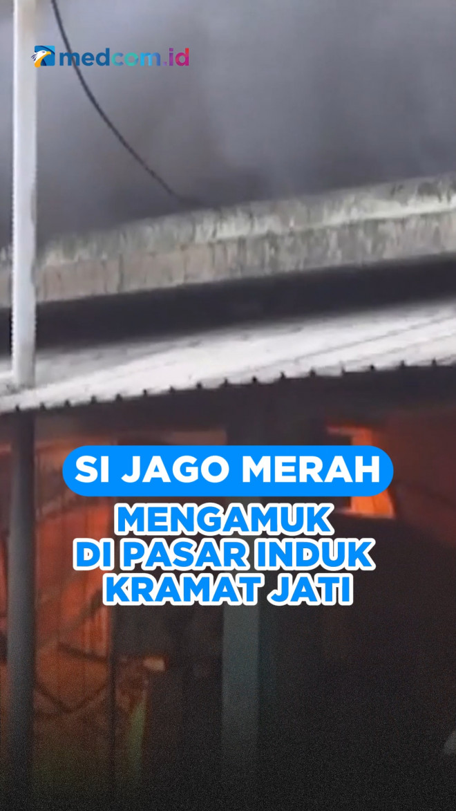 Si Jago Merah Mengamuk di Pasar Induk Kramat Jati
