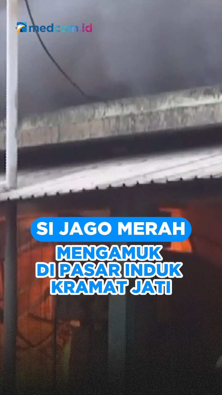 Si Jago Merah Mengamuk di Pasar Induk Kramat Jati