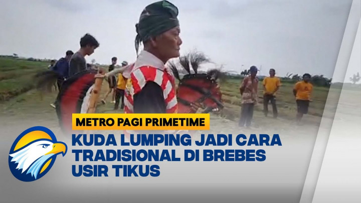Tradisi Kuda Lumping Jadi Cara Unik Petani Brebes Usir Tikus