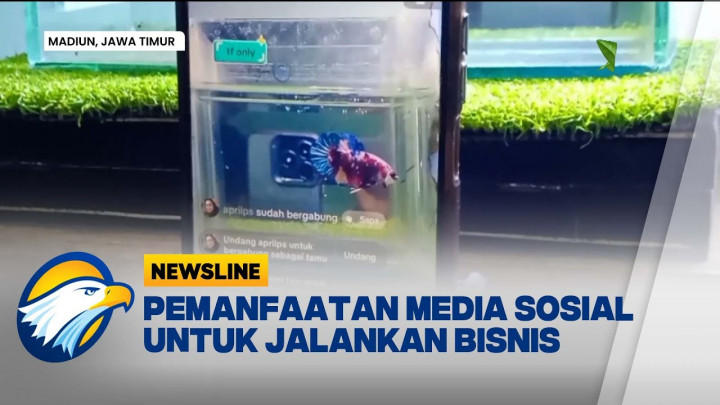 Manfaatkan Media Sosial, Pemuda Madiun Kembangkan Bisnis Ikan Cupang