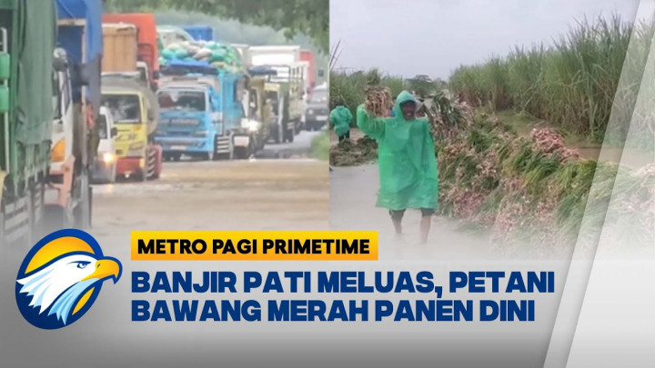 Banjir Rendam Pati, Petani Bawang Merah Terpaksa Panen Lebih Awal