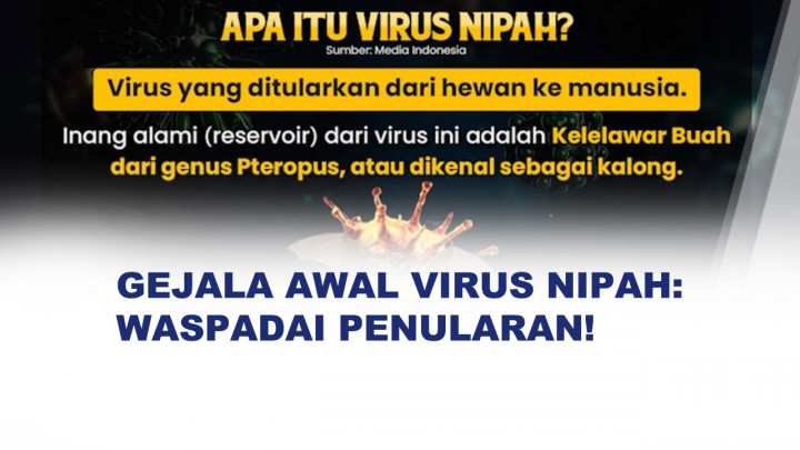Mengenal Virus Nipah: Gejala Awal dan Cara Penularannya