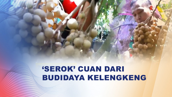 Kopda Witoyo Sulap Lahan Kering jadi Kebun Kelengkeng