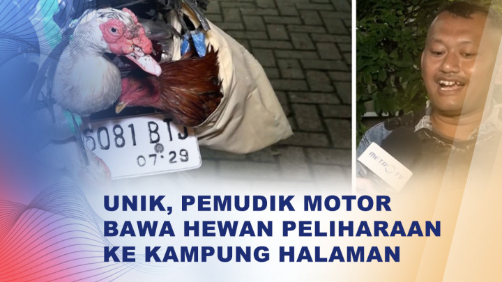 Mudik Lebaran, Pemudik Motor Bawa Hewan ke Kampung Halaman