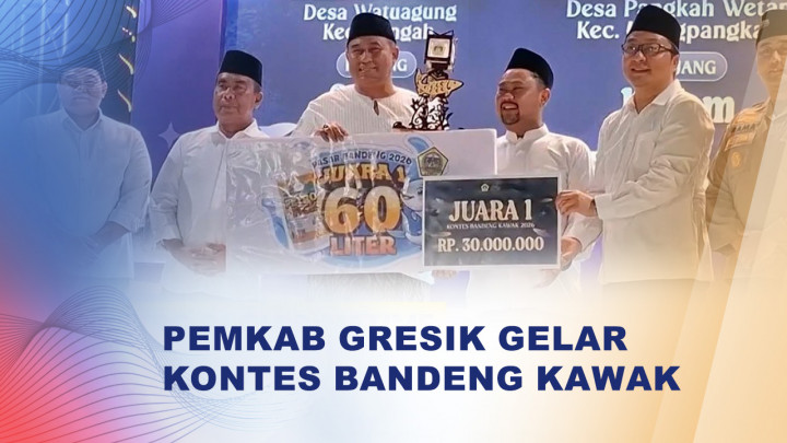 Jaga Tradisi, Pemkab Gresik Gelar Kontes Bandeng Kawak 2026