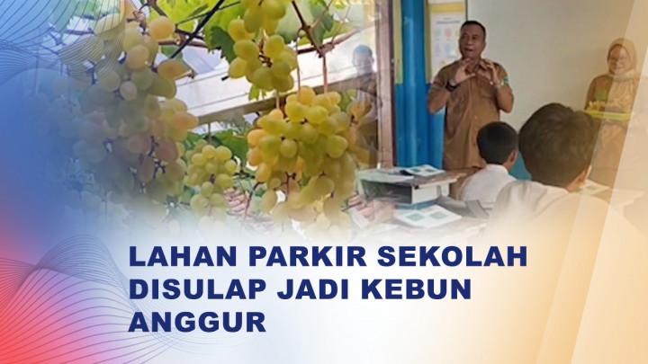 Sekolah di Pangandaran Sulap Lahan Parkir Jadi Kebun Anggur Edukatif