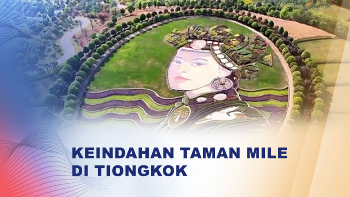Keindahan Taman Hutan Hiasi Perbukitan Mile