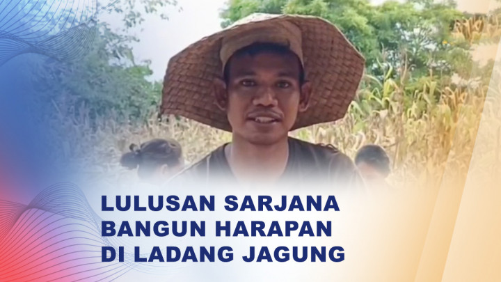 Sulit Cari Kerja, Sarjana di Sumba Timur Beralih ke Pertanian