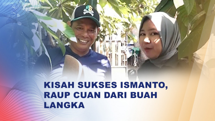 Raup Cuan dari Budidaya Buah Langka Mamey Sapote