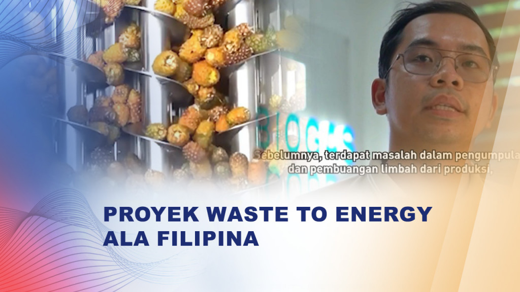 Proyek Waste to Energy Ala Filipina, Limbah Nanas Disulap Jadi Energi!