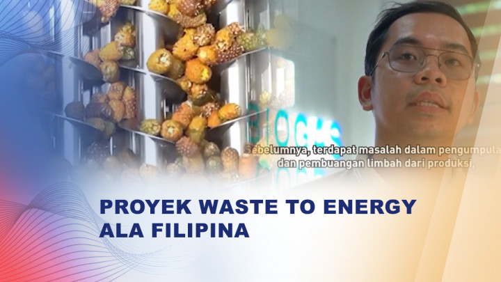 Proyek Waste to Energy Ala Filipina, Limbah Nanas Disulap Jadi Energi!