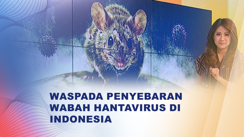 Waspada Hantavirus di Indonesia, Kenali Gejala dan Cara Pencegahannya