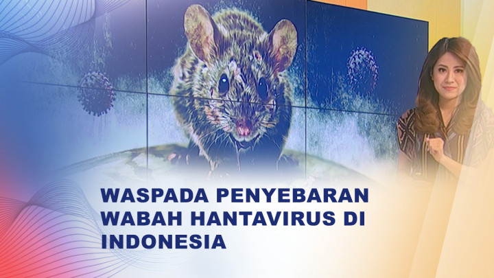 Waspada Hantavirus di Indonesia, Kenali Gejala dan Cara Pencegahannya